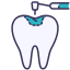 Dental Implant Icon