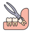 Dental Implant Icon