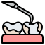 Dental Implant Icon